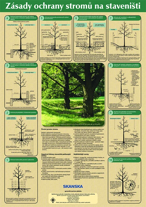 Ochrana stromů na staveništi